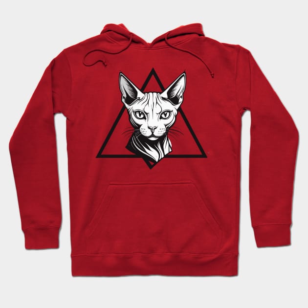 cat triangle Hoodie by Snonfy